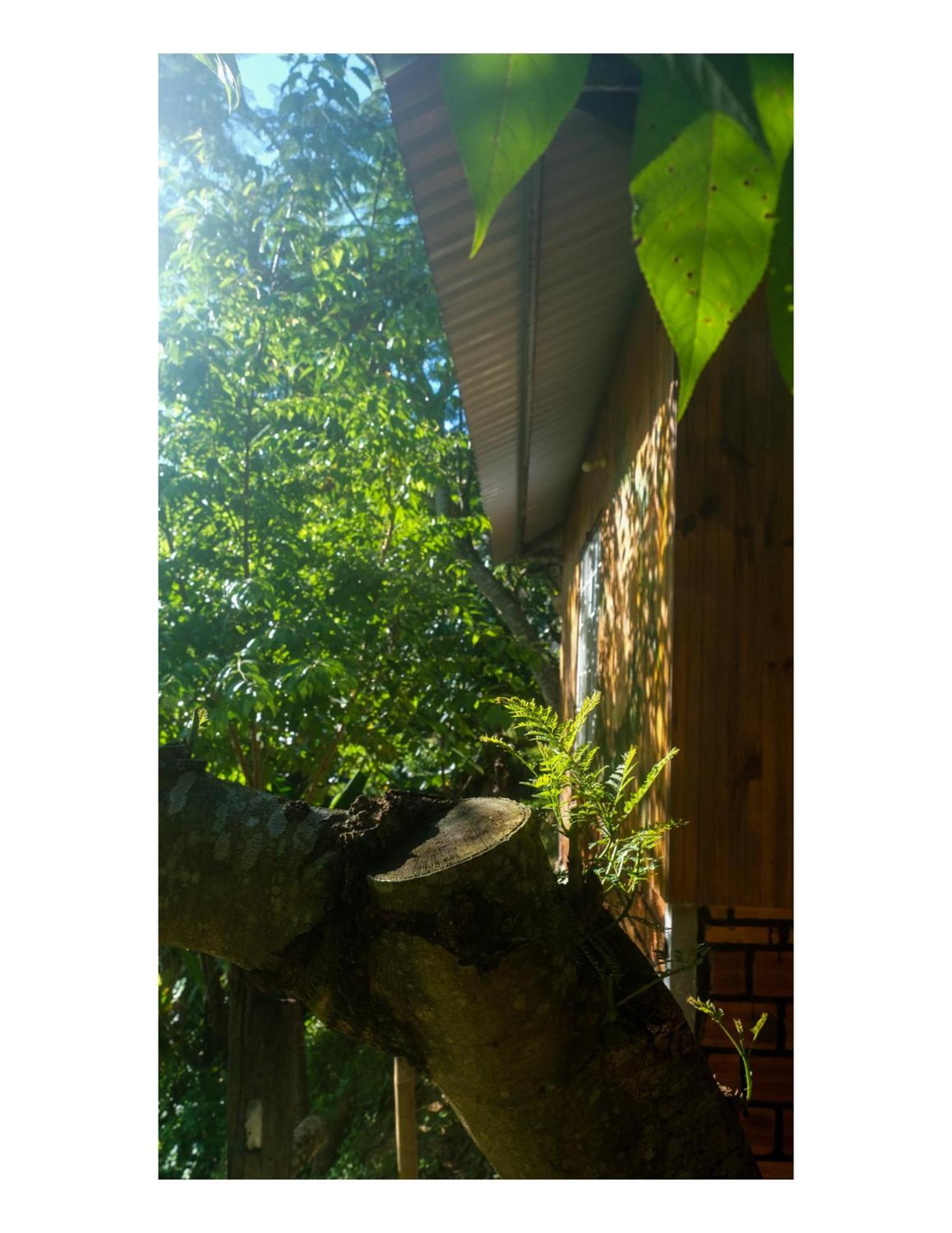 Nha Ben Ho - Da Lat Homestay Exterior photo