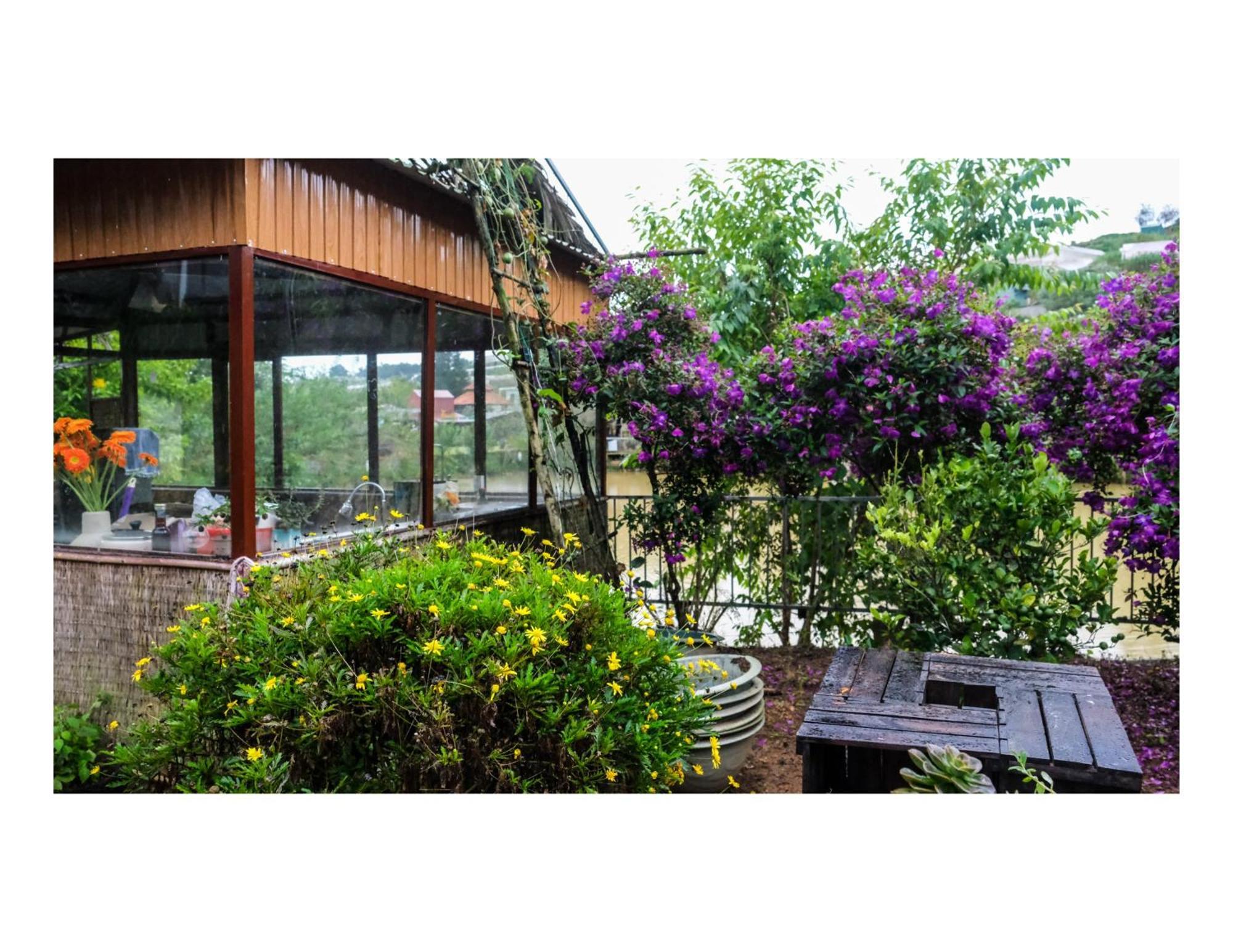 Nha Ben Ho - Da Lat Homestay Exterior photo
