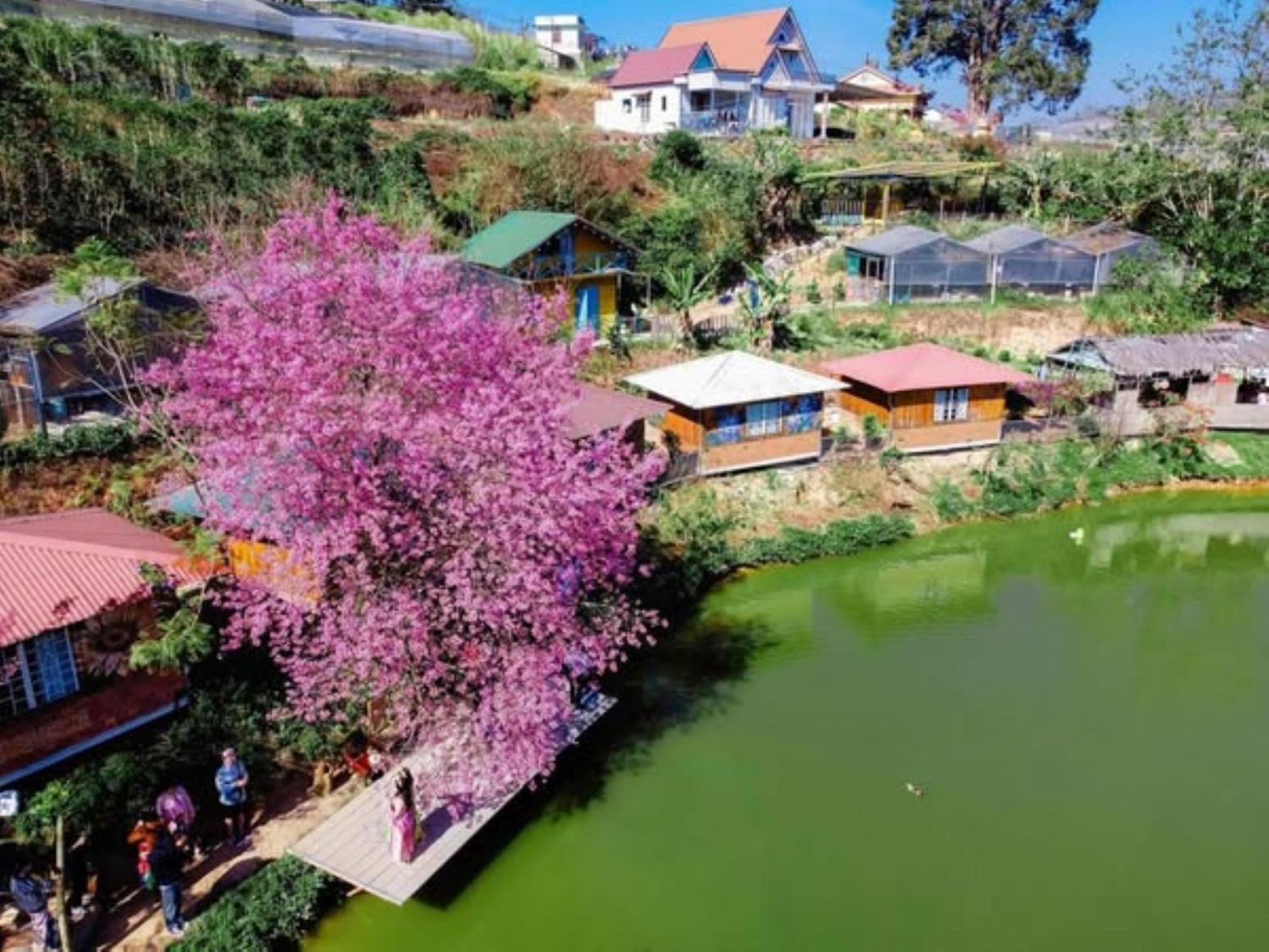 Nha Ben Ho - Da Lat Homestay Exterior photo